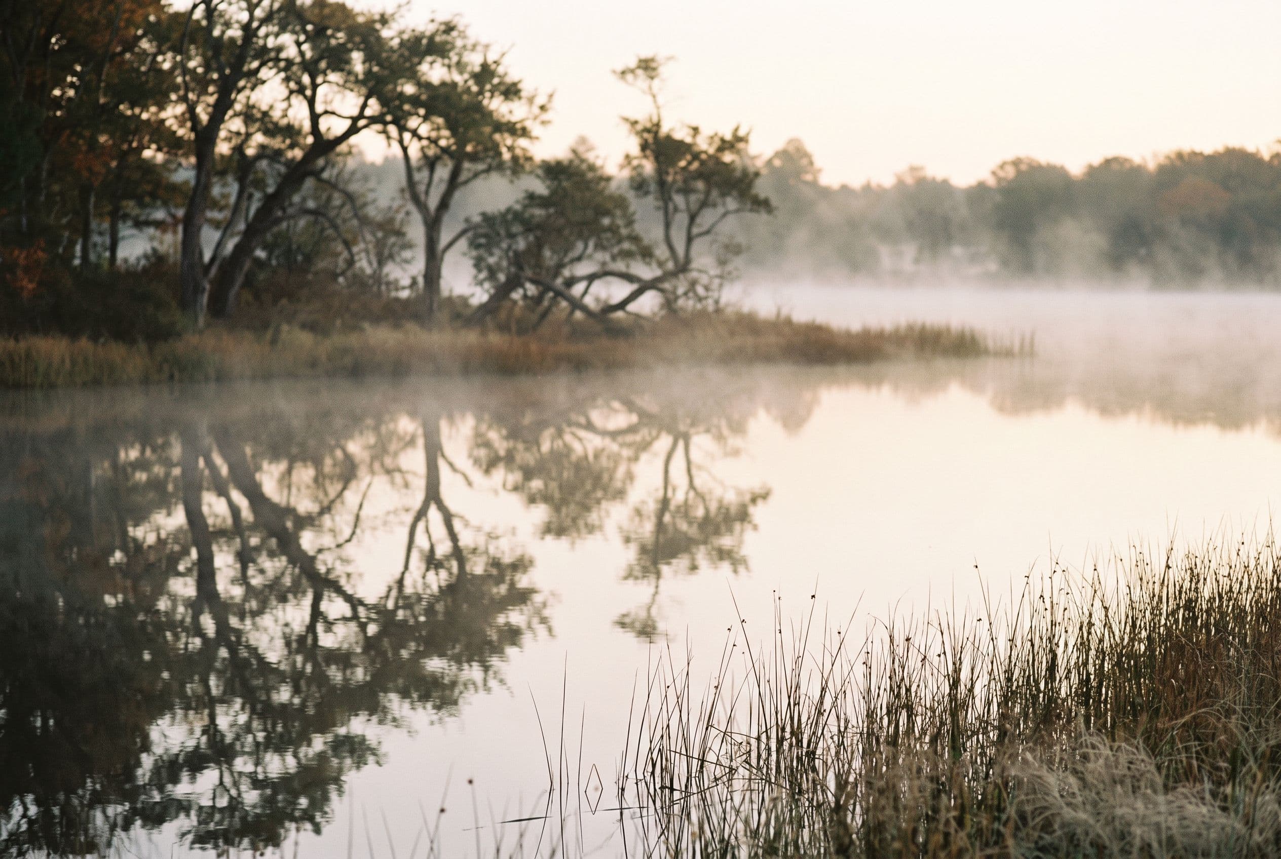 Still ten-acre lake at dawn with tree reflections and low mist